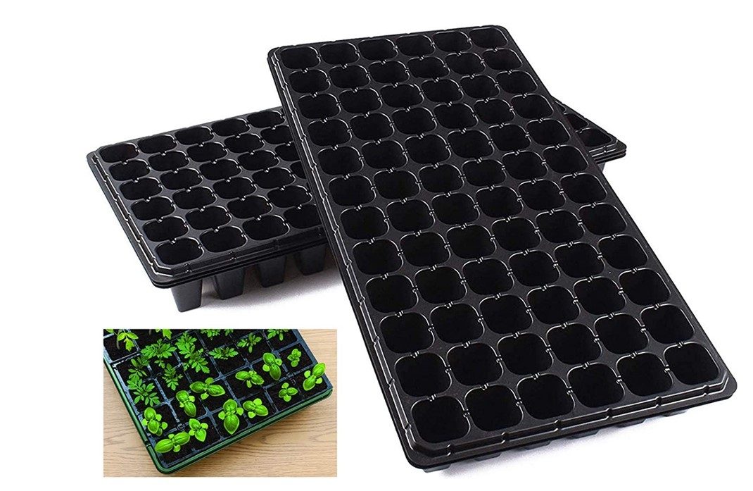 Several seed starter trays with seedlings growing in them