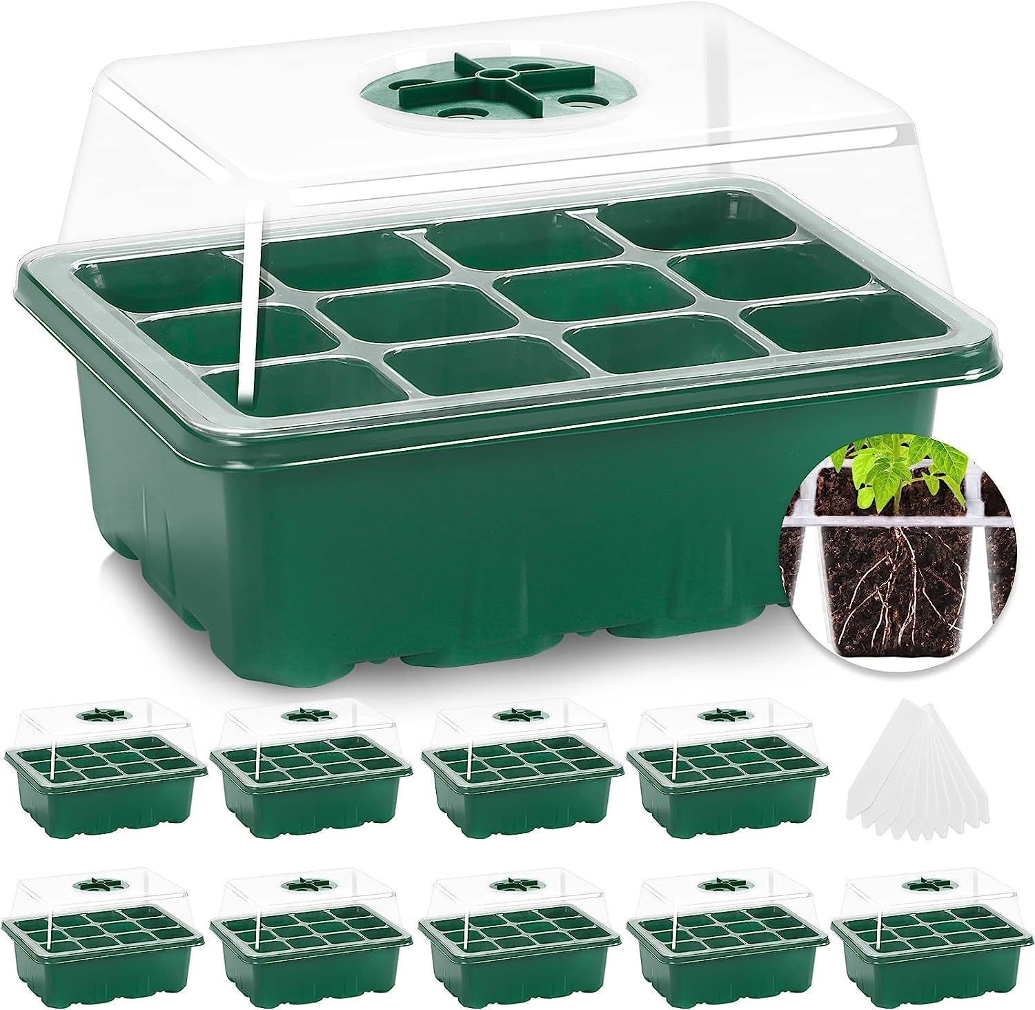 Seed starting kit with a clear humidity dome on a table