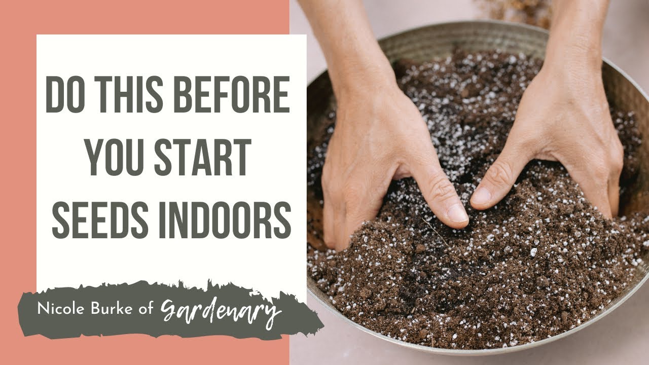 Bag of seed starting mix with a scoop and a tray