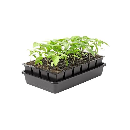Best for big seedlings: Fewer, larger cells