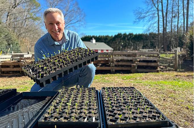 Hands sowing seeds into a seed starter tray